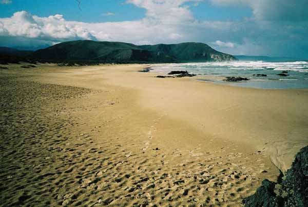 Natures Valley Beach
